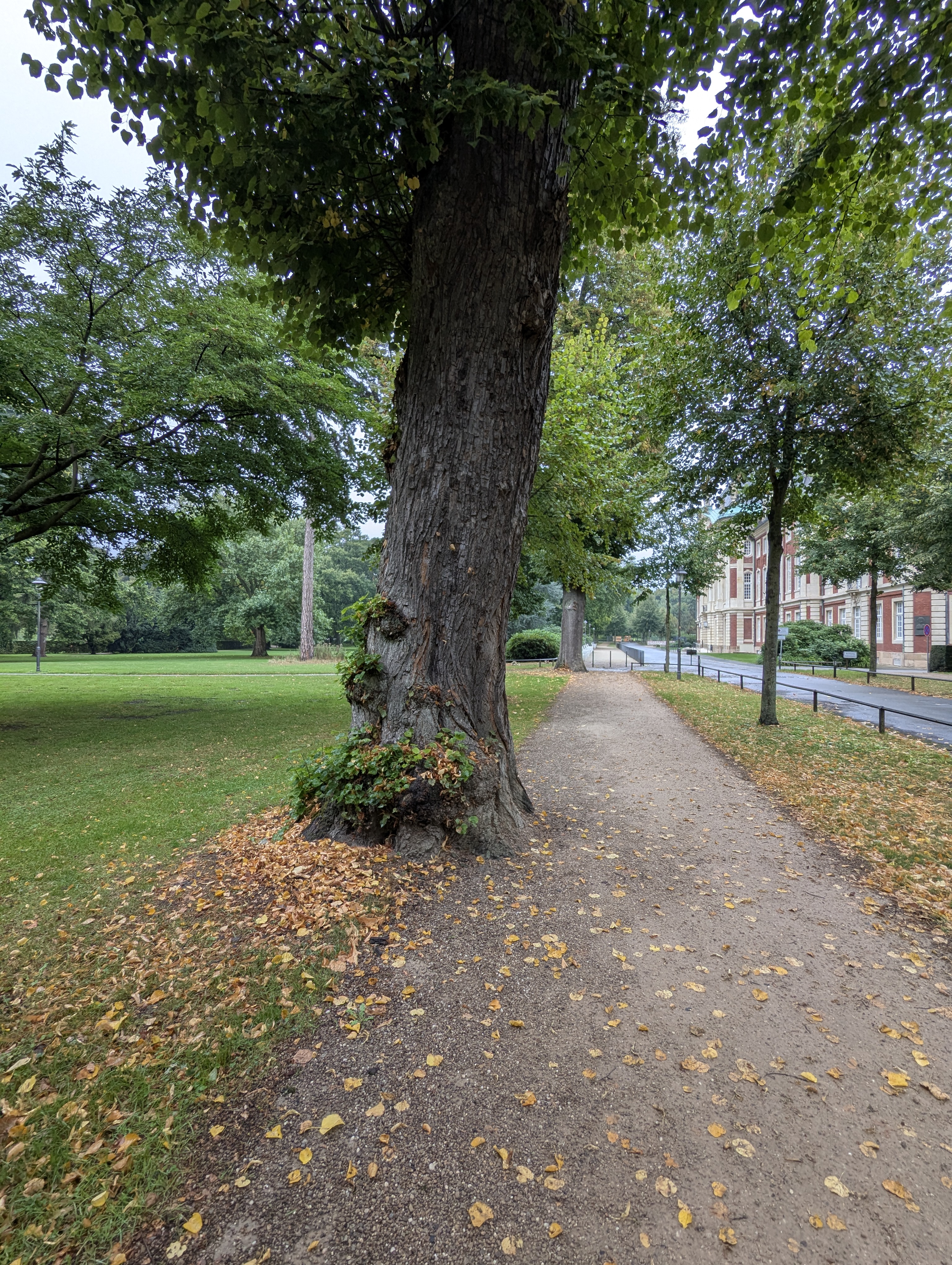 Botonic Gardens, Muenster, Germany